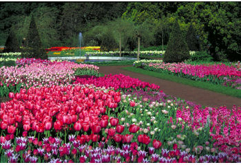 Parchi e giardini Parchi e giardini
